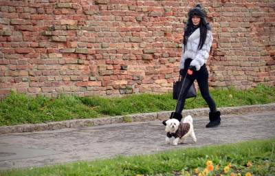 Ne vucite ljubimca ako zastane pred barom: Psi imaju potpuno neočekivan pogled na kišu   Ne vucite ljubimca ako zastane pred barom: Psi imaju potpuno neočekivan pogled na kišu