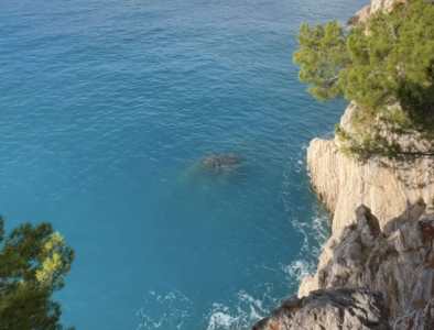  Djevojčica (12) se utopila u Jadranskom moru 