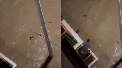  strašni snimci poplava u Valensiji 