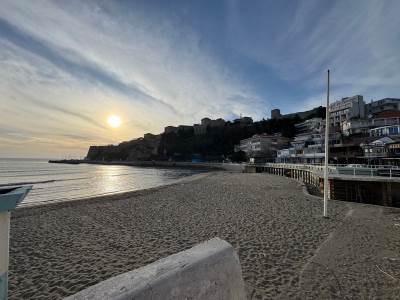 Radić: Obale u katastrofalnom stanju, odgovornost je na opštinama   Radić: Obale u katastrofalnom stanju, odgovornost je na opštinama