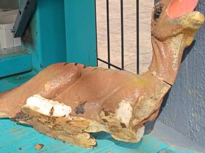 Vandalizam u Dino parku u Podgorici, oštećena tri eksponata 