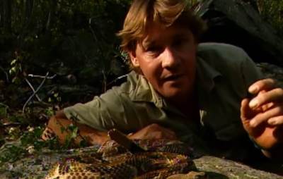  Stradao na snimanju, porodica ostala u dugovima: Irvina gledali milioni, a žena jedva isplatila plat 