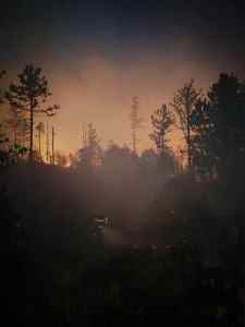  Bojanović: Najkritičniji požari u Piperima, stanje u Tuzima složeno 