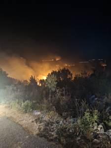  Jočić: Ukupna procijenjena šteta od požara oko 1,7 miliona eura, obrađeno 260 zahtjeva za nadoknadu štete
 