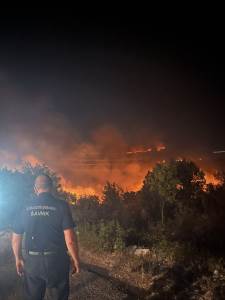  Vatrogasci iz Šavnika na prvoj liniji požara u Podgorici 