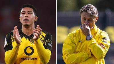   Nika Kovača napao Belingemov otac 