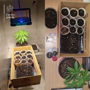  Krivične prijave protiv dvije osobe zbog zloupotrebe drog 