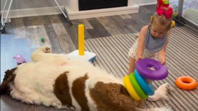  Ljubimci nisu igračke ali on baš uživa da "izigrava stalak": Igra djevojčice i psa razniježila je sv 