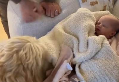  Snimak psa koji ušuškava tek rođenu bebu raznežio internet: Ljudi ne mogu da se nagledaju nestvarnih 