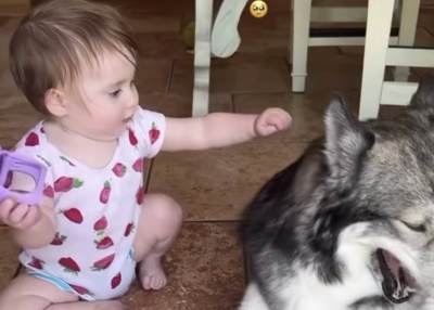  Beba krenula da pomazi psa, a on iskezio zube: Milioni zanijemili u trenutku pa uslijedila scena za  