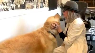  Dajen Kiton ostavila 5 miliona dolara svom psu?  