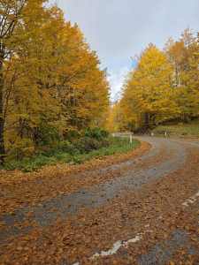  Vremenska prognoza: Sjutra pretežno sunčano 