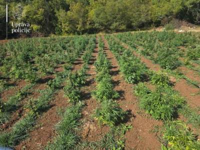  Nastavak akcije Trnovo: Uhapšen Baranin Nikola Dajković 