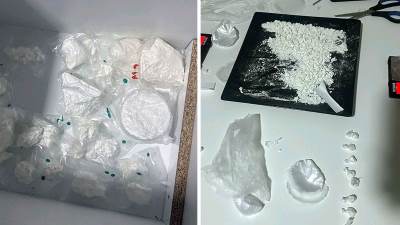  Zaplijenjena velika količina droge kod Niša: Umjesto povrća u plasteniku mu pronašli 90 kilograma ma 