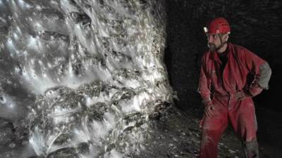  Pronađena najveća paukova mreža u Evropi 