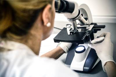   U Hrvatskoj i Rumuniji potvrđeni slučajevi gube 