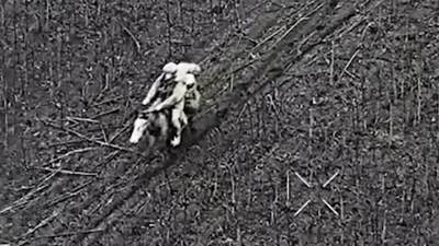  Šokantan juriš Rusa na konjima 