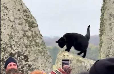  Ni druidi ni astronomi: Crna mačka glavna zvijezda Stonhendža  