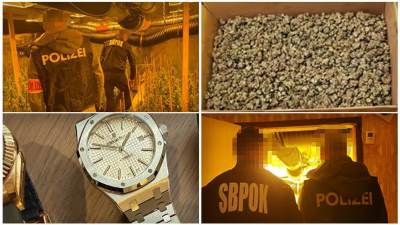  Srbi masovno "pali" zbog marihuane: Kriminalna grupa gajila hiljade stabala i pripremala za prodaju 