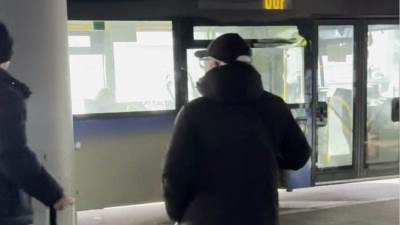  Željko Samardžić kao sav "običan" svije 