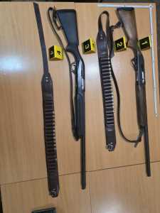  Krivična prijava protiv Bjelopoljca koji je pokušao da upuca psa lutalicu, pa ranio brata  