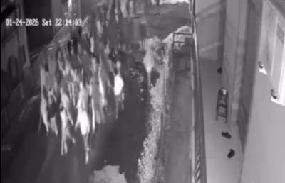   Strašno svjedočenje o tuči Torcide i Delija 