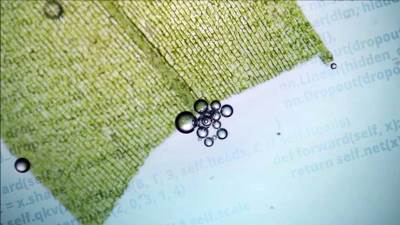  Novi model predviđa funkcije gena i skrivenu logiku DNK 