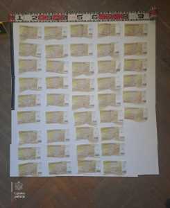  Majka i sin uhapšeni u Bijelom Polju: Osumnjičeni da su vratili pozajmicu falsifikovanim novcem 