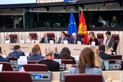  Zenović na POSP-u: Uspješno ćemo finalizovati pregovarački proces ove i ostvariti članstvo u EU 2028 