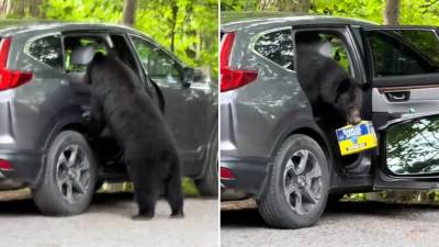  Alarm se oglasio, ljudi vrištali, a njega baš briga 