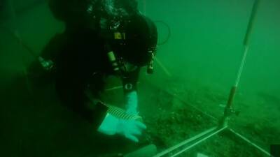  Arheolozi pronašli izgubljenu "evropsku Atlantidu"! Ispod mora se krila tajna stara 8.500 godina 