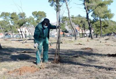  Agencija za izgradnju i razvoj ponovo raspisala tender za izradu Glavnog projekta uređenja park šume Zlatica
 