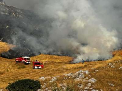  Požar zahvatio područje planine Vojnik na putu Nikšić–Šavnik 