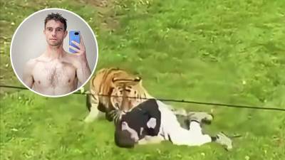  Ovo je mladić  kog je ubio tigar 