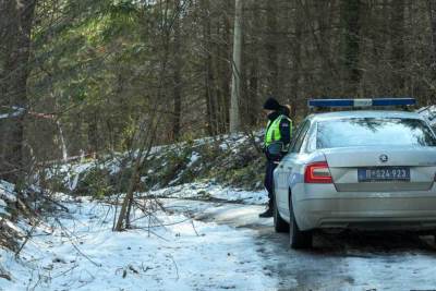  Tijelo Zemunca spalili, pa htjeli da ga rastvore kiselinom 