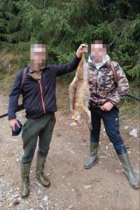  Krivična prijava protiv lica osumnjičenog da je nezakonito odstrijelio lisicu 